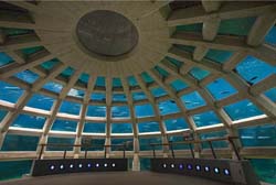 Inside the dome in the Seattle Aquarium