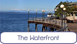 The Waterfront